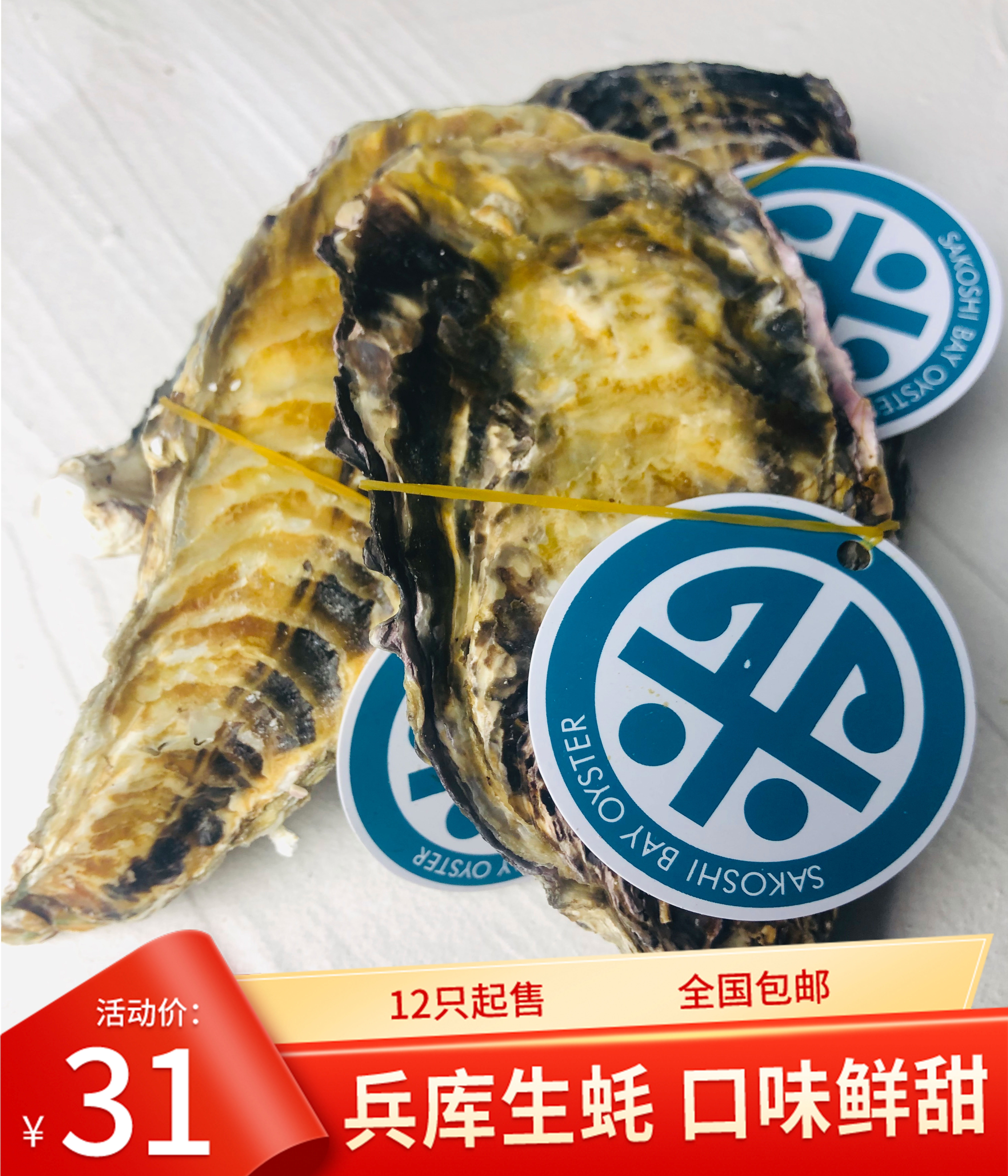 日本兵库新鲜生蚝鲜活海鲜水产海蛎子贝壳牡蛎生蚝带壳包邮12只起