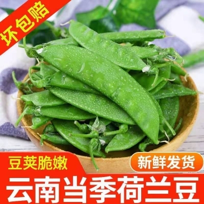 荷兰豆云南新鲜现摘甜脆青豆荚蔬菜净重1—5斤扁豌豆角农家菜豌豆