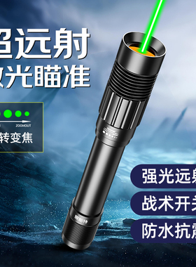 惠斯特H11超亮绿光激光笔大功率远射强光激光灯可调焦户外专用精准瞄准指示工地驾校高亮激光手电指星笔