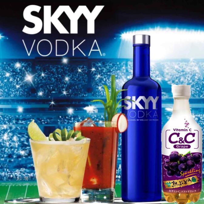 SKYY深蓝原味伏特加750ml正品Vodka洋酒进口 40度烈酒基酒