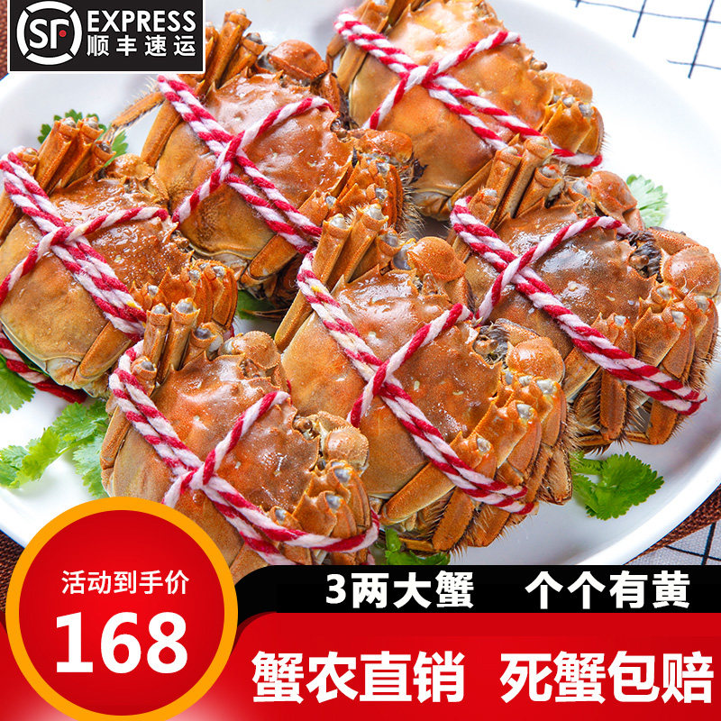 大闸蟹鲜活特大螃蟹公母蟹8只毛蟹河蟹海鲜水产活物湖蟹礼盒装|ruв категории водной мясо/свежие фрукты и овощи/еда, морепродукты/водные продукты/изделия, краб, краб - от Buy2taobao.com для оказания профессиональной услуги покупки агента Taobao