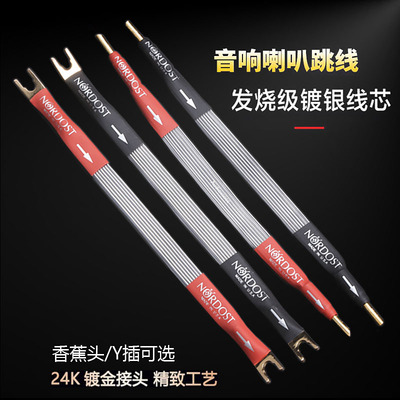AudioXSOCC发烧级音箱桥接线