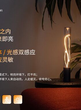 LEDLIGHT充电衣柜无线 磁小夜灯人体玄关智能灯氛围AUGE跨境感应