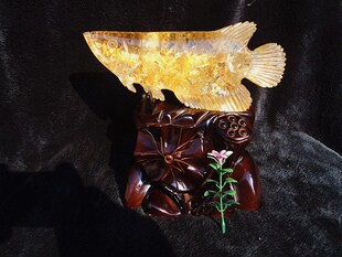 晶山角商城天然白水晶黄焦花雕刻金龙鱼年年有鱼摆件