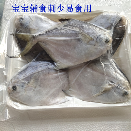 渤海野生平鱼银鲳鱼静鱼海鲜特产深海鱼水产海鲜宝宝辅食顺丰发货