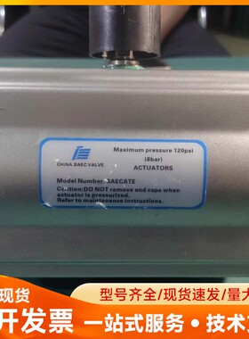 中国BAEC气动执行器，型号BAEC-R-210-17527