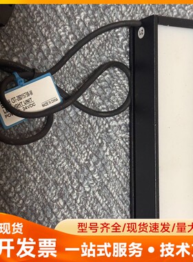 白色视觉光源CST-2BD15738-w