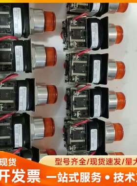 美国Allen-Bradley黄色带灯按钮800T-QTH2