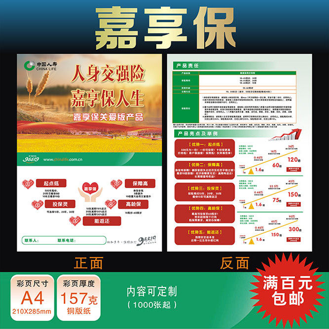 中国人寿保险国寿嘉享保彩页宣传单国寿新版广告海报