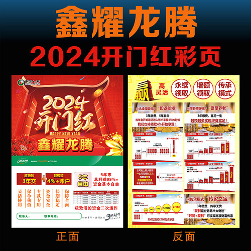 中国人寿国寿鑫耀鸿图彩页宣传单