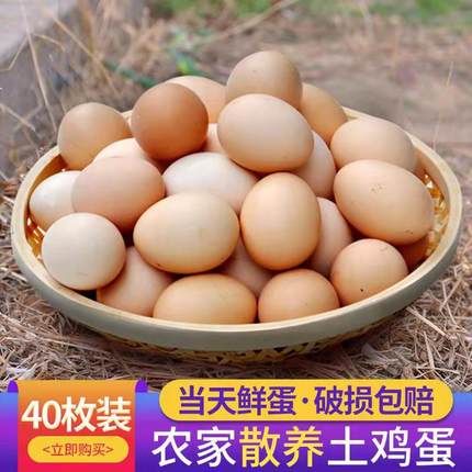 正宗农村土鸡蛋农家散养纯 新鲜 杂粮草鸡蛋柴鸡蛋笨鸡蛋野外40枚