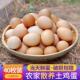 正宗农村土鸡蛋农家散养纯 杂粮草鸡蛋柴鸡蛋笨鸡蛋野外40枚 新鲜