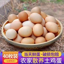 正宗农村土鸡蛋农家散养纯 杂粮草鸡蛋柴鸡蛋笨鸡蛋野外40枚 新鲜