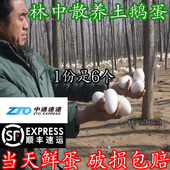120g 100 鹅蛋新鲜6枚孕妇农家杂粮喂养土鹅蛋正宗笨鹅蛋顺丰 包邮