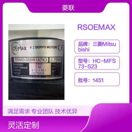 RSOEMAX直线伺服电机RSMZ-08BA1ANK3原厂