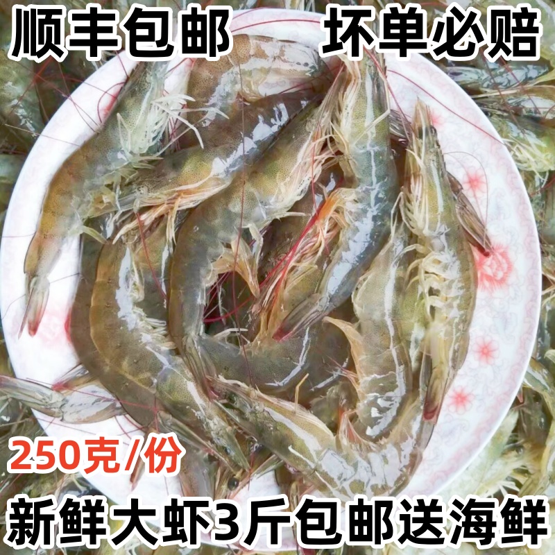 新鲜海捕鲜活海鲜虾3斤包邮净重