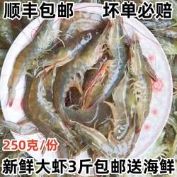 大虾 海虾鲜活新鲜特大虾 海捕对虾青虾基围虾冻虾活明虾海鲜水产