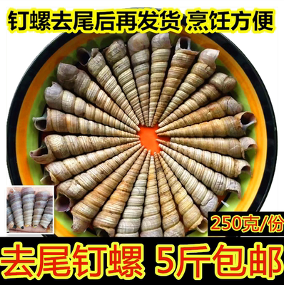 鲜活钉螺海捕无沙5斤包邮海鲜