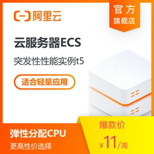 【自营】阿里云云服务器突发性能实例(t5)入门型轻量级上云