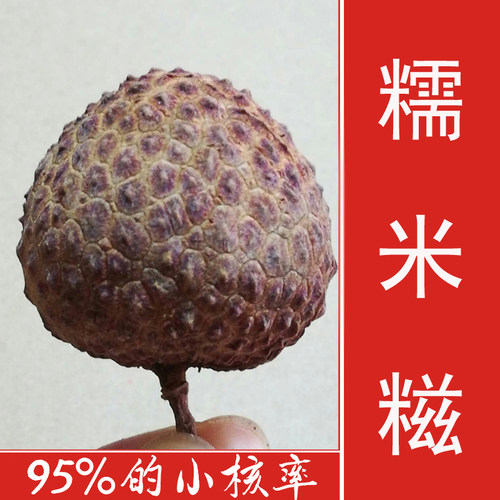 荔枝干新货特级从化增城糯米枝