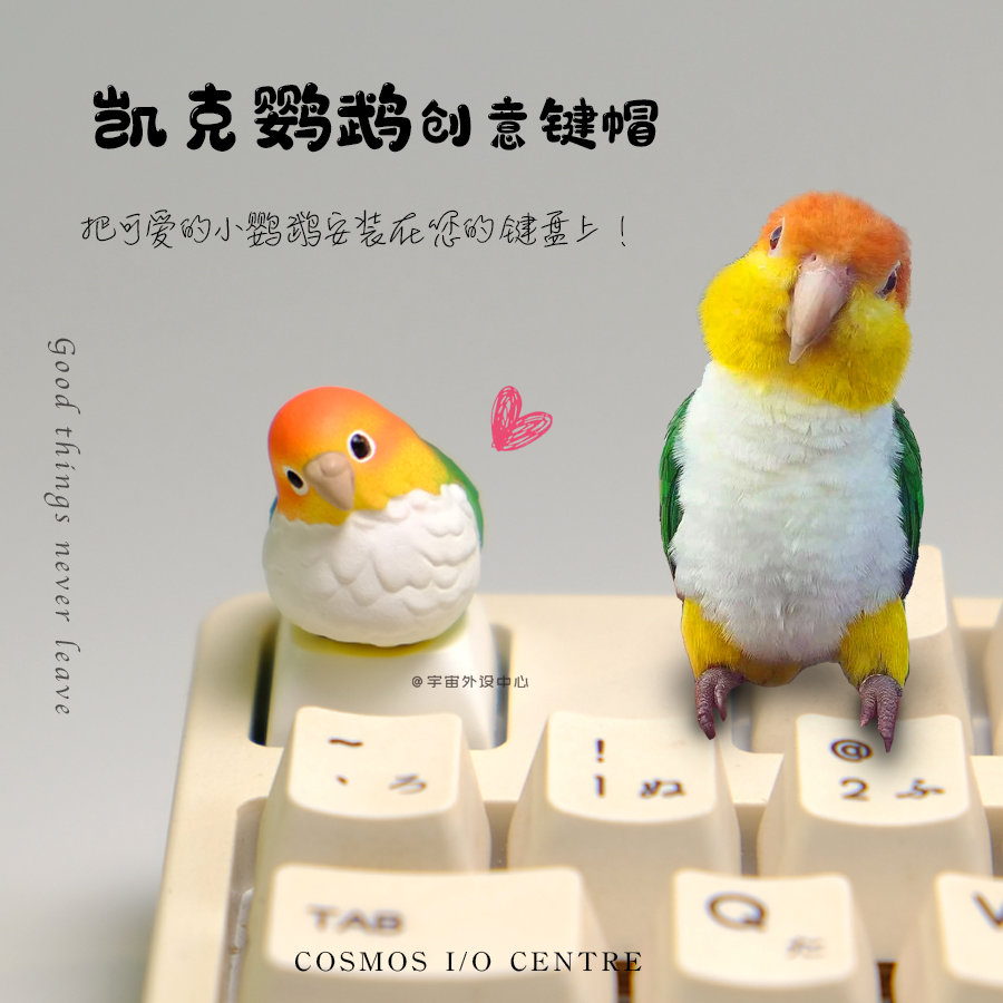 凯克鹦鹉可爱手工键帽创意礼物