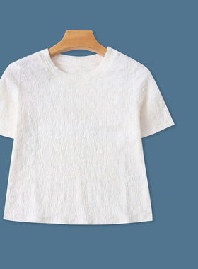 蚂蚁皱T恤 夏季新外贸女装时尚圆领套头短袖纯色弹力修身T恤31856