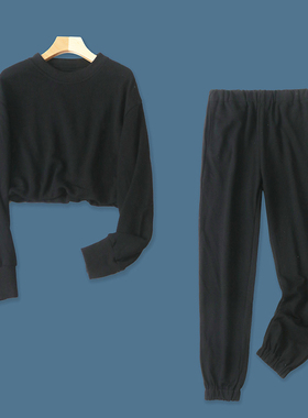 毛圈棉休闲套装  秋季新外贸女圆领套头卫衣+松紧腰束口长裤26871