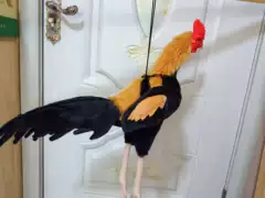 Rooster Plush
