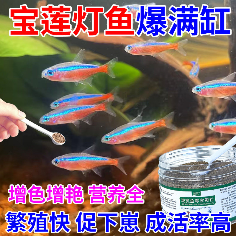 宝莲灯鱼饲料专用促繁殖下崽鱼食图片
