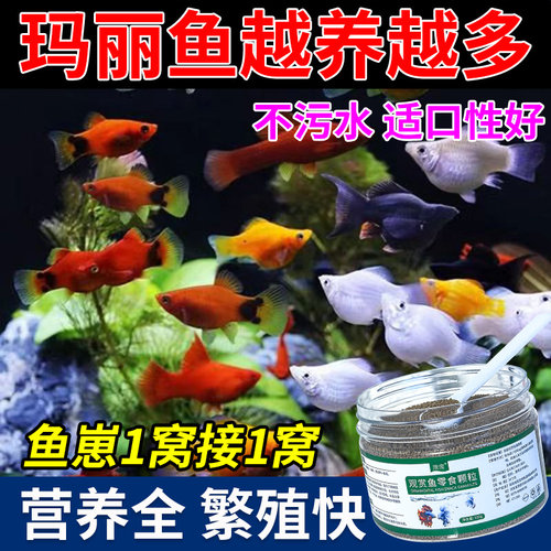 玛丽鱼专用饲料促繁殖下崽米奇鱼