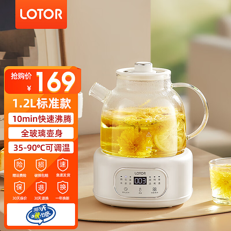 LOTOR养生壶煮茶壶办公室全玻璃烧水壶花茶煮茶器迷你炖煮壶