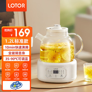 LOTOR养生壶煮茶壶办公室全玻璃烧水壶花茶煮茶器迷你炖煮壶