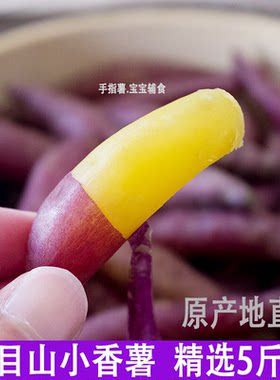 临安天目山小香薯现挖现发