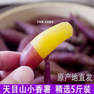 临安天目山小香薯正宗板栗红薯新鲜农家自种小番薯地瓜蜜薯旗舰店