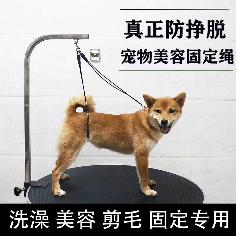 宠物美容绳固定绳强力吸盘钢丝绳
