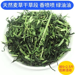 大麦草段干草半斤 宠物兔子粮荷兰猪豚鼠龙猫饲料 新鲜麦草干草段