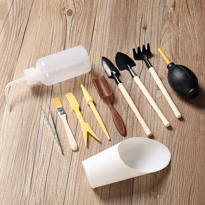 多肉植物种植园艺工具组合套装 刷子肉肉三件套滴水壶镊子喷水壶