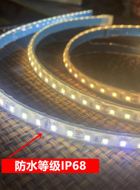 LED灯带12V/24V 灌胶防水户外汽车货箱泳池船用照明IP68泡水灯条