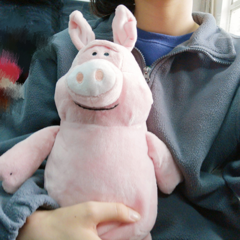 ins粉色少女心丑萌小猪公仔布娃娃儿童玩偶毛绒玩具女生生日礼物