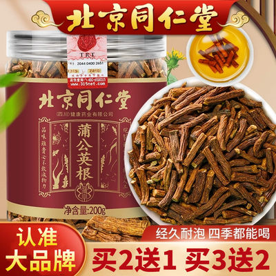 北京同仁堂蒲公英根茶