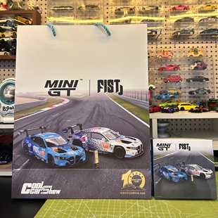 2025 GT3 FIST EVO 宝马 MINIGT 合金汽车模型 Team AAI