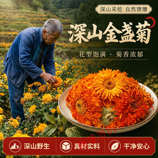 深山野生金盏菊250g正品无硫中药材金盏花干花长生菊泡水喝菊花茶