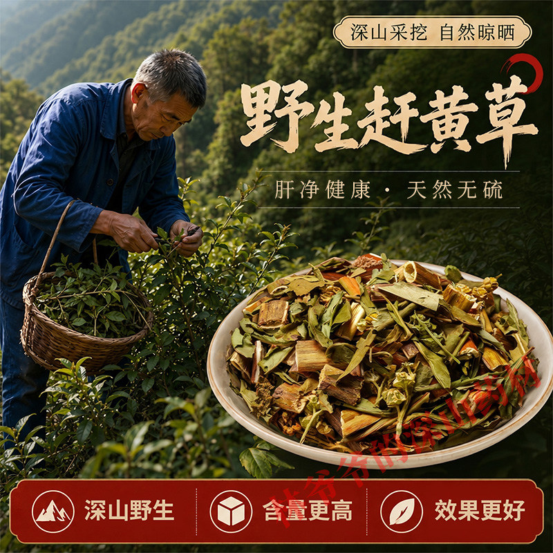 深山野生赶黄草500g正品中药材