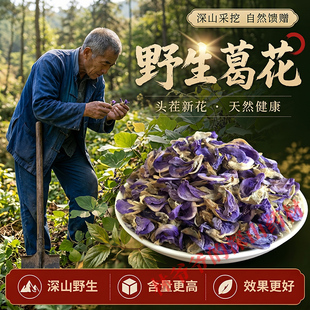 深山野生葛花500g正品中药材葛根花葛藤花新鲜干花 解酒枳椇子茶
