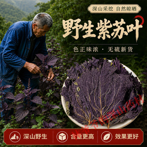 野生紫苏叶500g正宗药用中药材