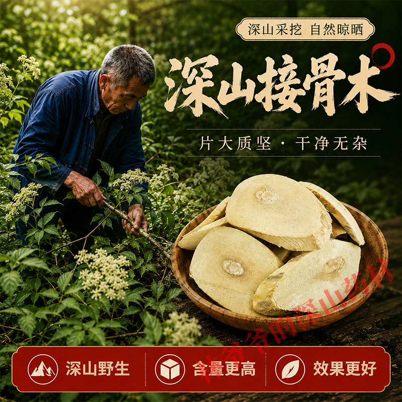 深山野生接骨木500g正品中药材续骨木舒筋树接骨草丹铁骨散接骨风