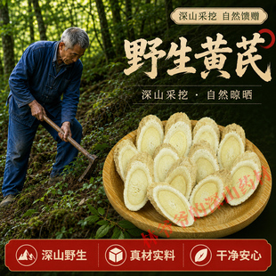 野生黄芪500g深山采挖自然晾晒真材实料正品中药材当归补气养血