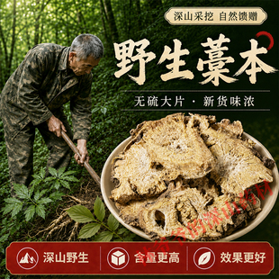 深山野生藁本500g正品中药材高含量特级蒿本 香藁本根片 藁本粉