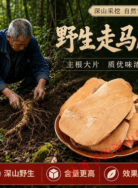 深山野生走马胎500g正品中药材