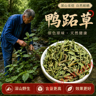 深山野生鸭跖草500g正品中药材鸭舌草鸭拓草碧竹子翠蝴蝶中草药